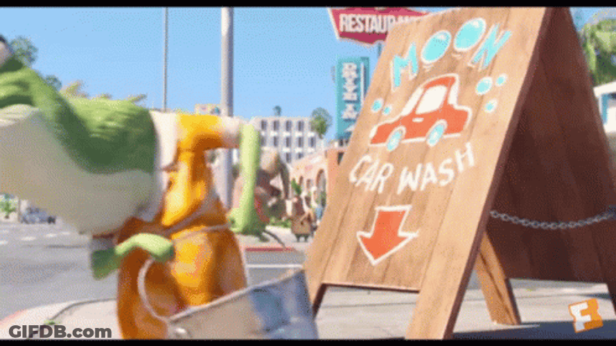 Sing Koala Car Wash GIF