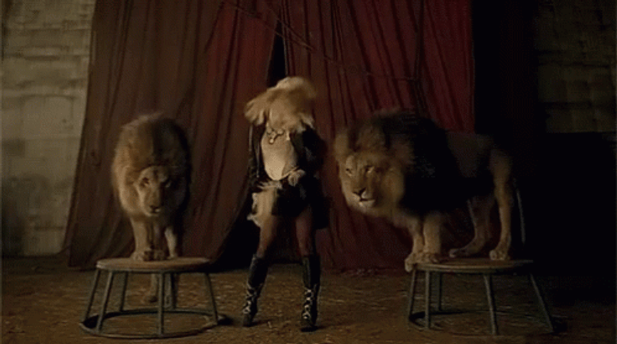 Singer Britney Spears Lion Roar GIF