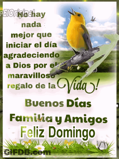 Singing Bird Feliz Domingo Backdrop GIF