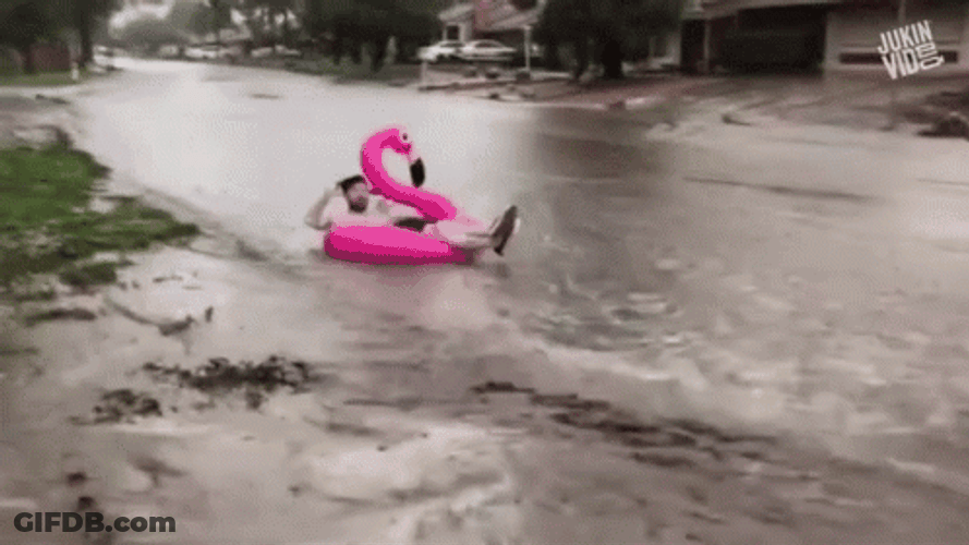 Singing In The Rain GIF