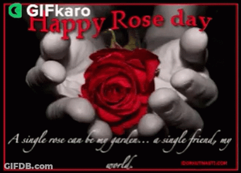 Single Rose My Garden ... Single Friend My World GIF