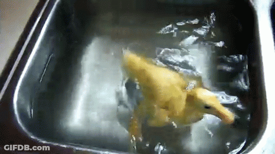 Sink Duck Spinning GIF