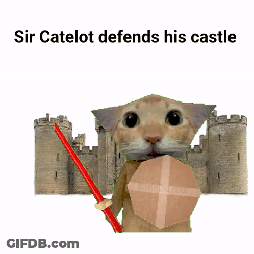Sir Catelot Defends Castle With Cat Holding Stick And Shield GIF