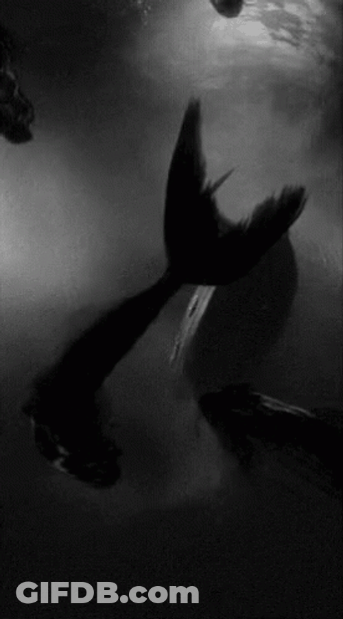 Siren GIF