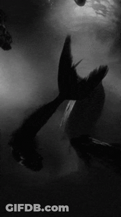 Siren Under The Sea GIF