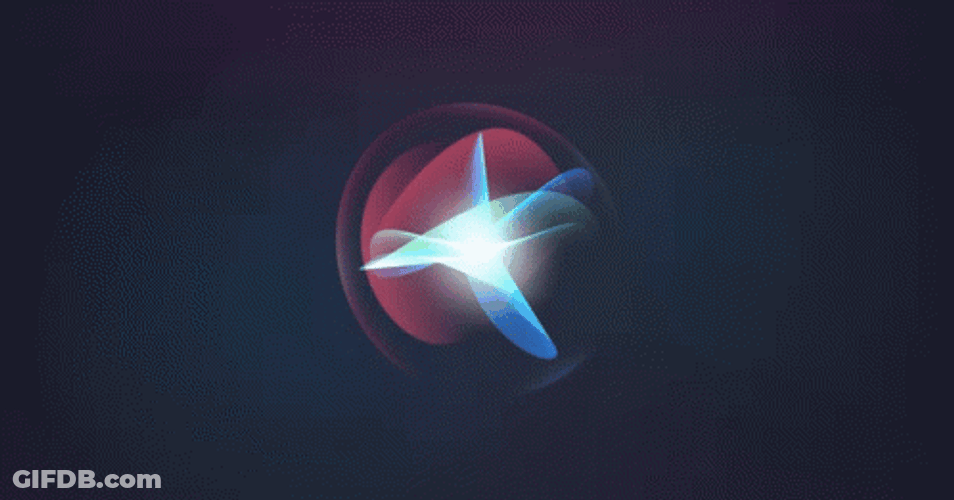 Siri Official Animated Design GIF
