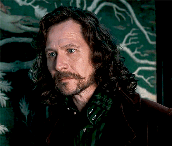 Sirius Black Actor Gary Oldman GIF