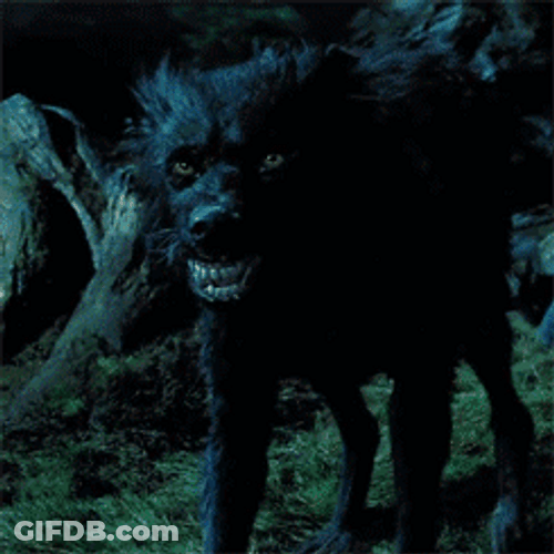 Sirius Black Animagus Marauder's Map GIF