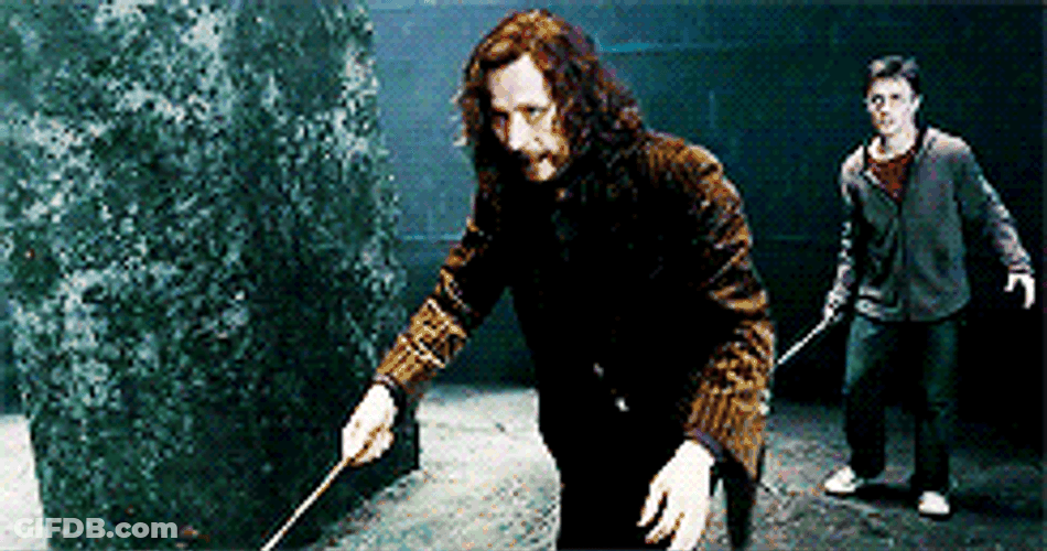 Sirius Black Battle Harry Potter 5 GIF