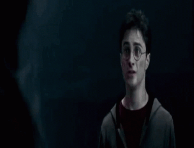 Sirius Black Death Harry Potter GIF