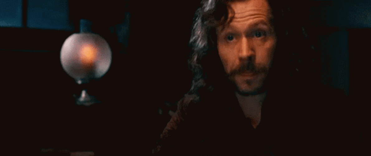 Sirius Black Explaining Reaction GIF