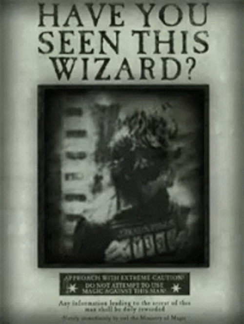 Sirius Black Have You Seen GIF