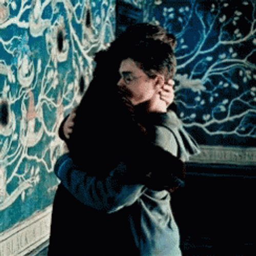 Sirius Black Hug Harry Potter GIF