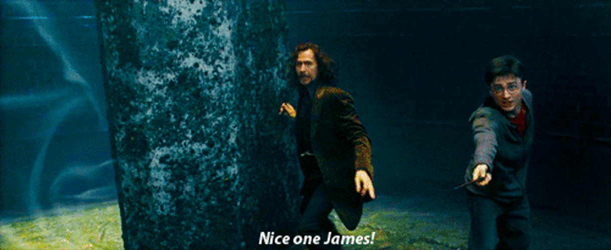 Sirius Black Nice One James GIF