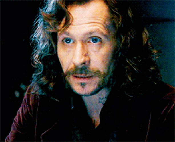 Sirius Black Order Of The Phoenix GIF