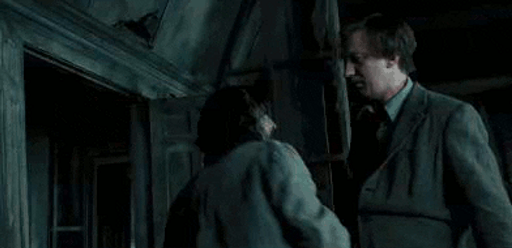 Sirius Black Remus Lupin Hug GIF