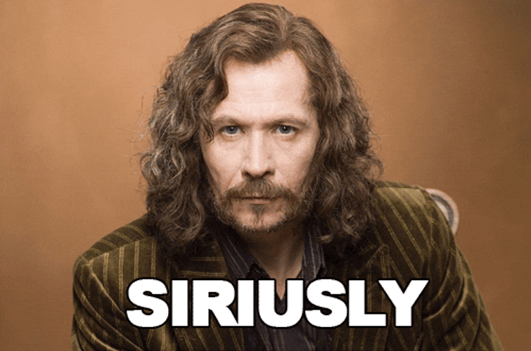 Sirius Black Siriusly Pun Meme GIF