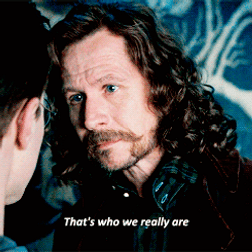 Sirius Black That's Who We Really Are GIF