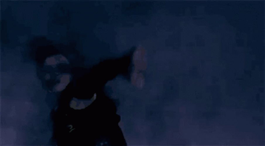 Sirius Black Vs Bellatrix Lestrange GIF
