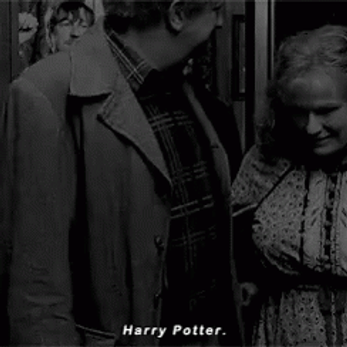 Sirius Black Welcome Harry Potter GIF