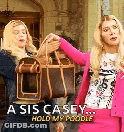 Sis Casey Hold My Poodle Poster With Two Women Holding Handbags GIF