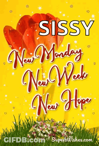 Sissy New Monday New Week New Hope Is Written On A Yellow Background GIF