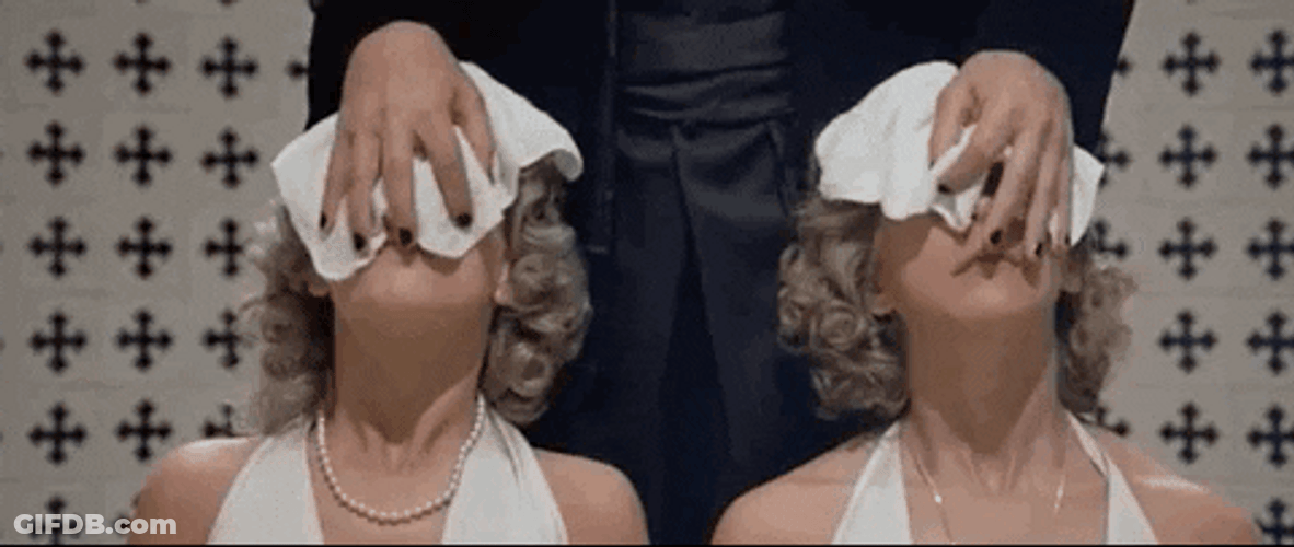 Sisters Twins Face Reveal GIF