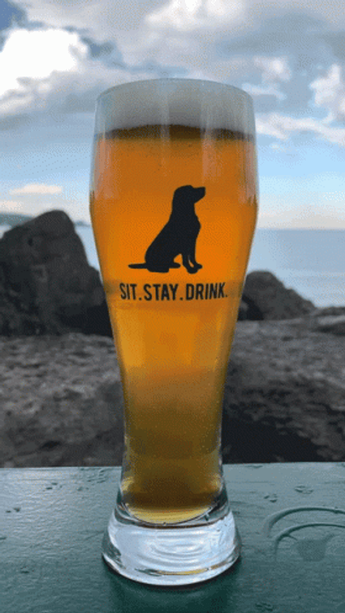 Sit Stay Drink Beer Glass GIF
