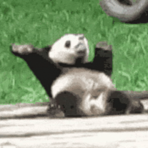 Sitting While Dancing Panda GIF