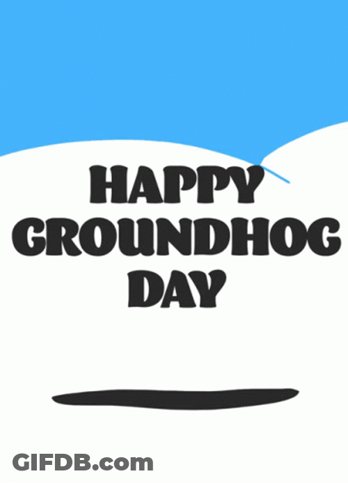Six More Weeks Of Winter Groundhog GIF