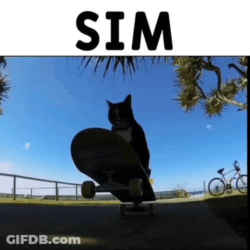 Skate Kanji Cat GIF