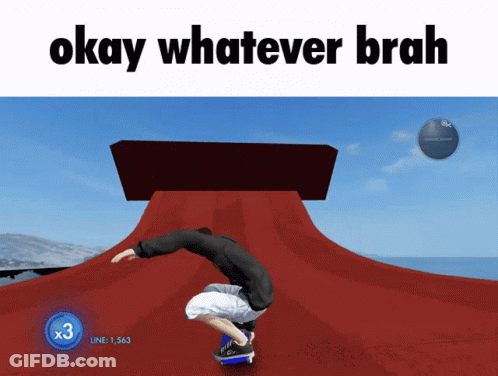 Skateboarder Doing Trick Saying Okay Whatever Brah GIF