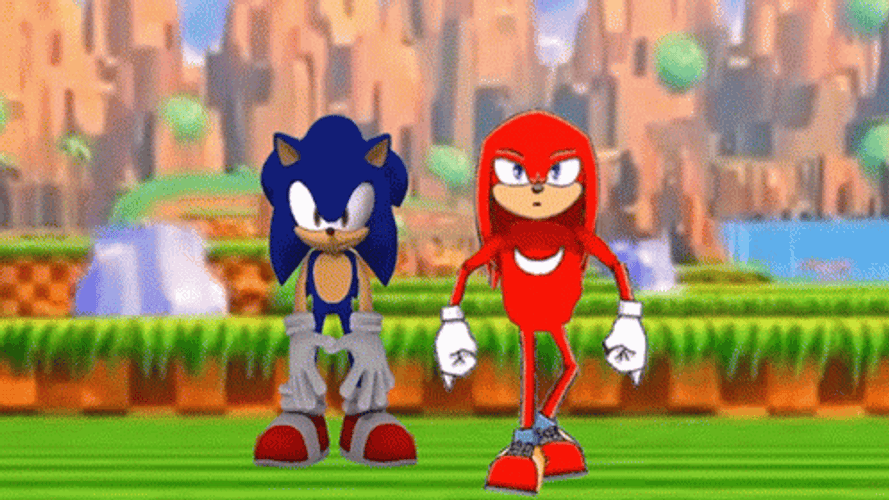 Skating Sonic And Knuckles Dancing GIF