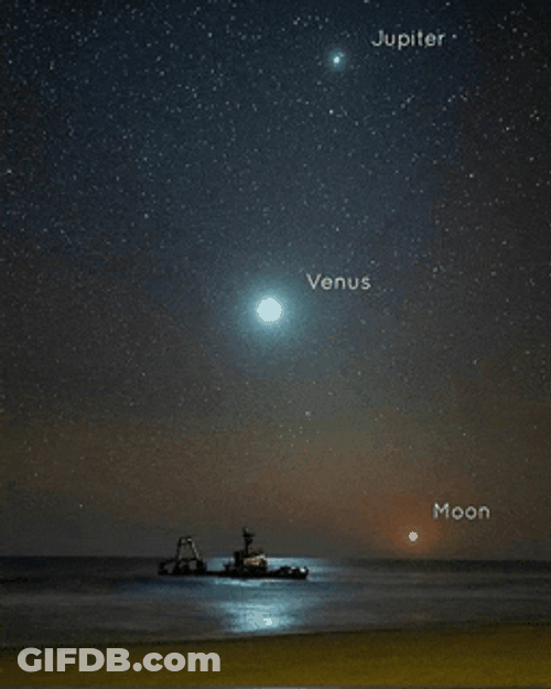 Skeleton Coast Namibia Meme GIF