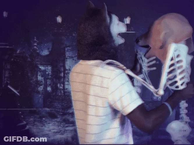 Skeleton Dance Dog Fox Romance GIF