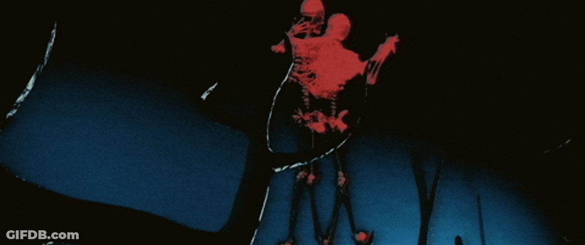 Skeleton Dance Halloween Xray Flash GIF