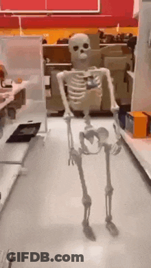 Skeleton Dancing In Store Aisle GIF