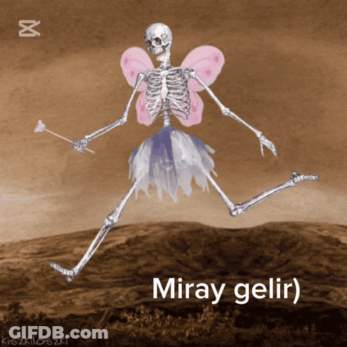 Skeleton In Fairy Costume With Miray Gelir GIF