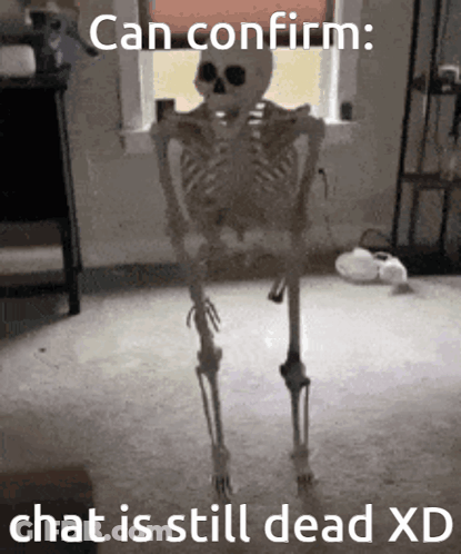 Skeleton In Front Of Window Can Confirm Chat Is Still Dead XD GIF