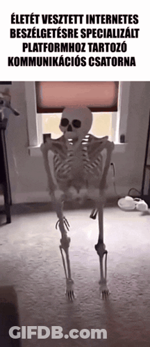 Skeleton In Front Of Window GIF