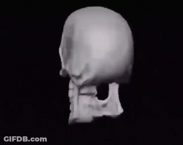 Skeleton Meme GIF