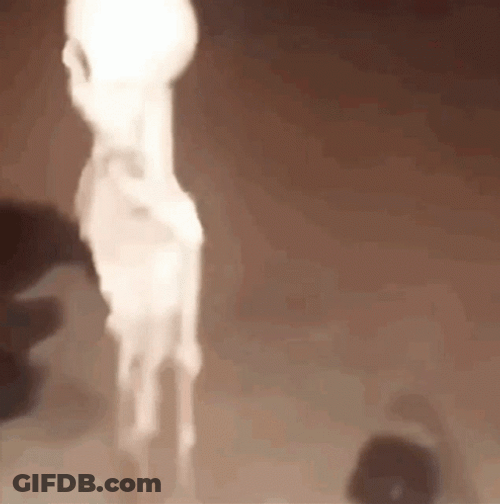 Skeleton Meme GIF