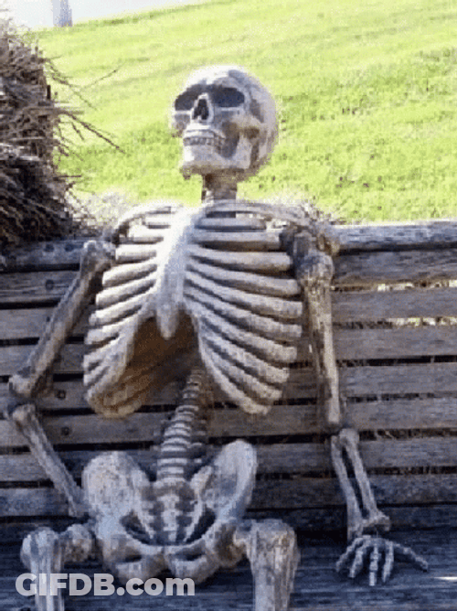 Skeleton Resting In Bench Meme GIF