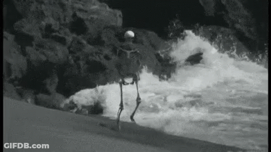 Skeleton Running Bay Shoreline GIF