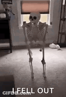 Skeleton Saying I Fell Out GIF