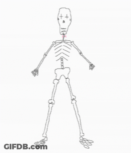 Skeleton Saying What GIF