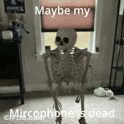 Skeleton Standing In Front Of Window With Maybe My Microphone Is Dead GIF