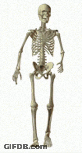 Skeleton Standing GIF