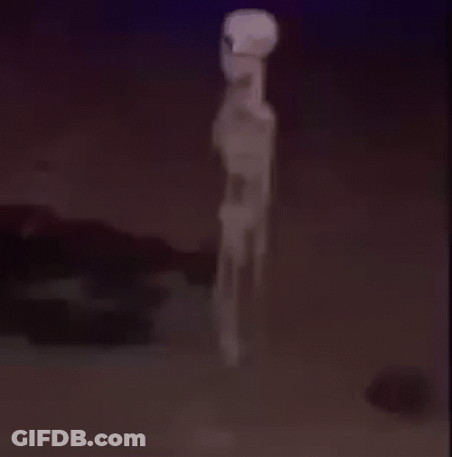 Skeleton Standing Still Meme GIF