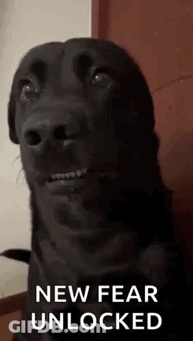 Skeleton Teeth Animeclub GIF
